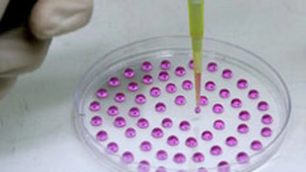 Lowe PR si-a adjudecat contul Stem Health Unirea