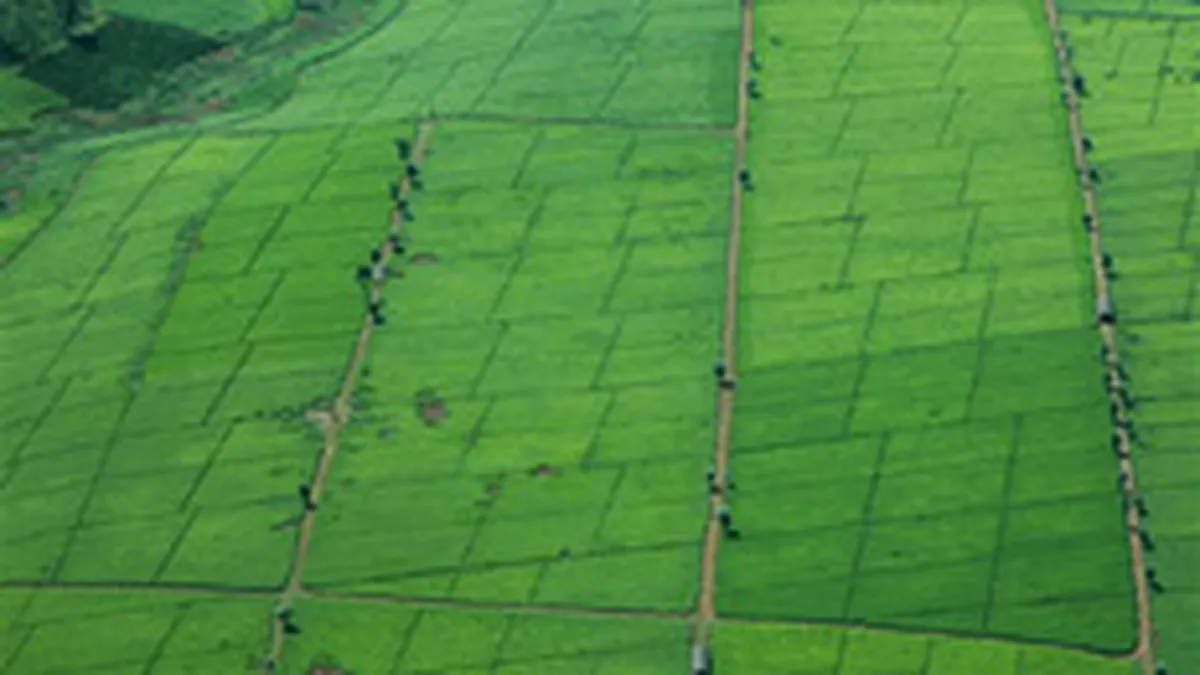 Preturile terenurilor din Bucuresti au scazut cu 25-30% in S1