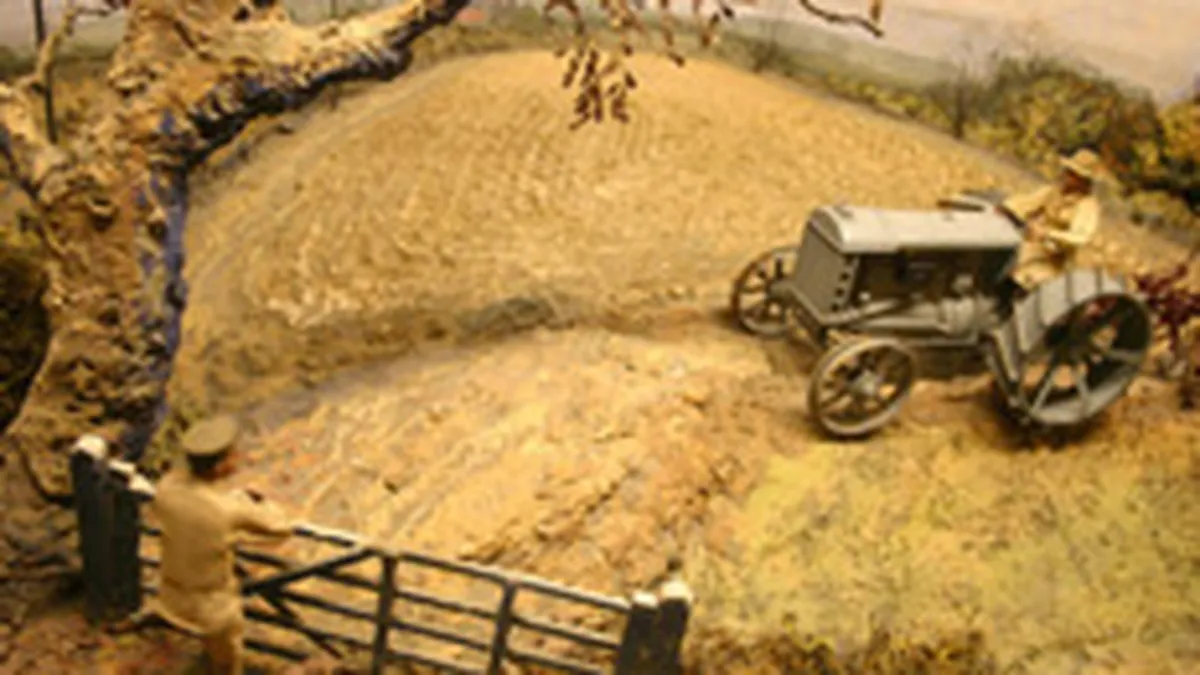 90% din firmele din mediul rural au sub 10 angajati