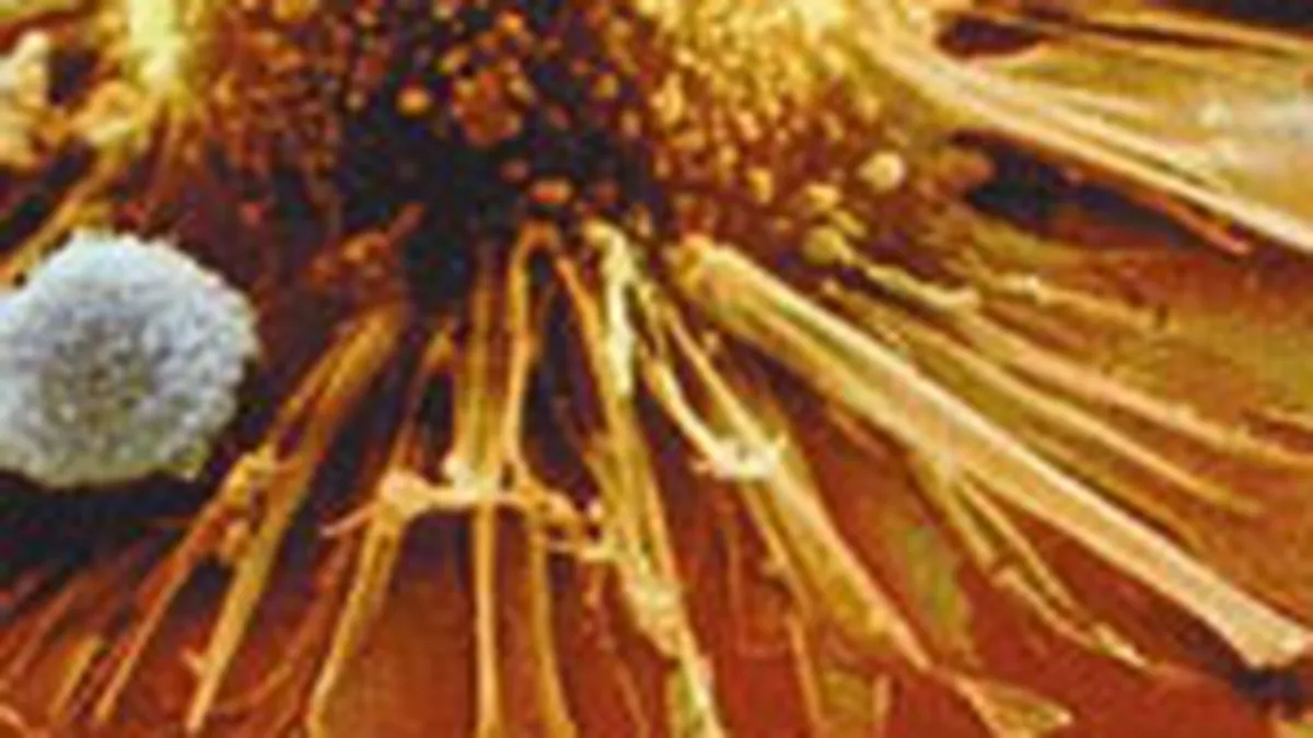 Active toxice de 1.000 mld. $, scoase la vanzare pentru curatarea economiei