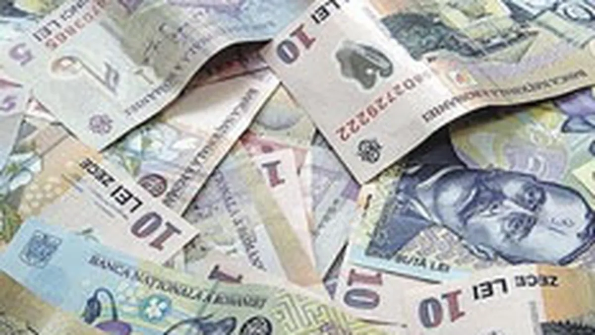 Specialisti: BNR a gresit tinand din scurt cursul. La 4,5 - 4,6 lei/euro, revenirea ar fi mai rapida