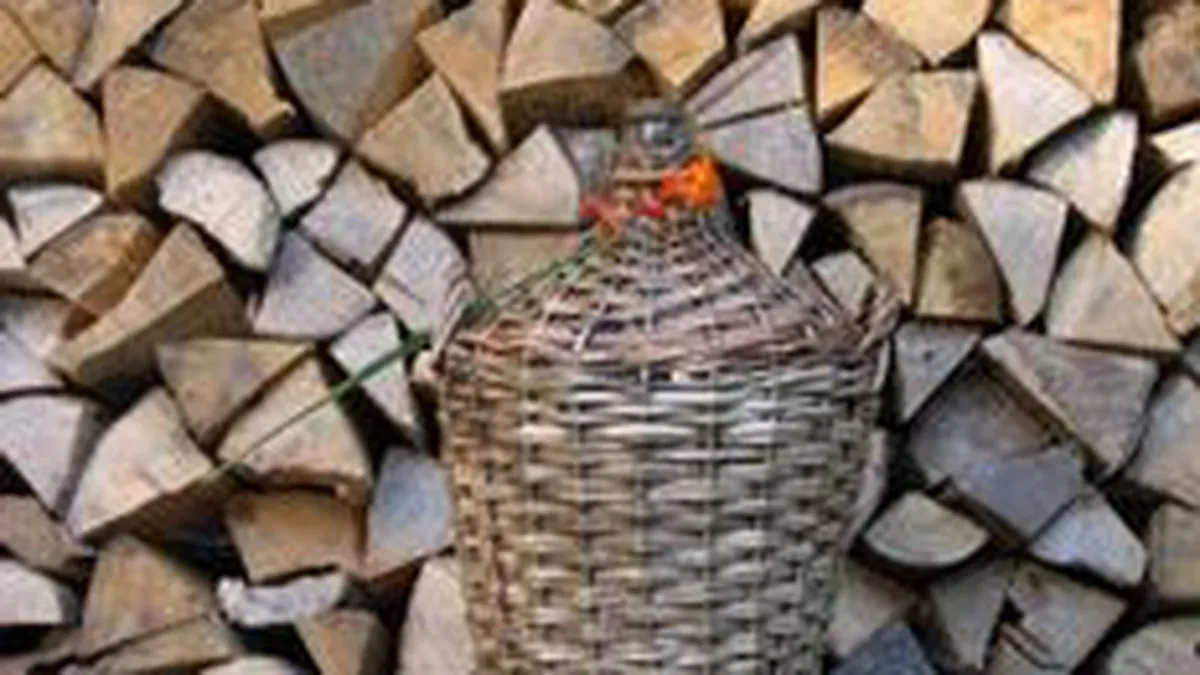 Pe urmele damigenelor: Patronatele cer impozitarea vinului \concurent\ de buturuga