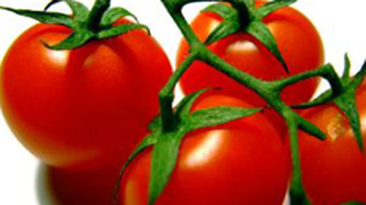 Agricultorii romani care cultiva produse bio persevereaza in pofida lipsei subventiilor