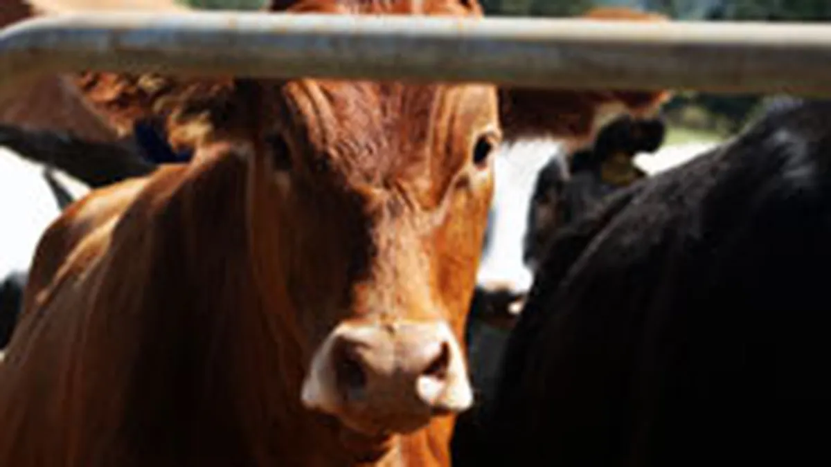 Ministerul Agriculturii a alocat 70 mil. lei pentru sprijinirea producatorilor agricoli