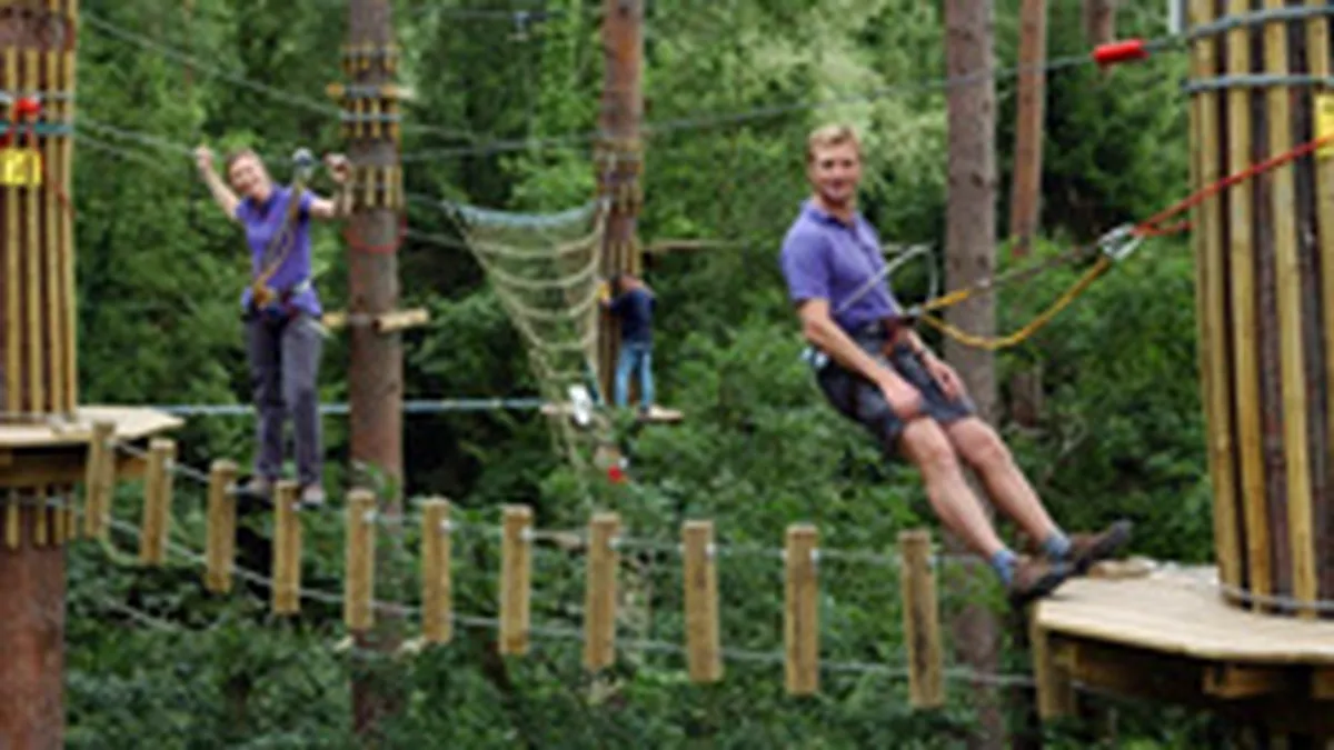 50.000 de euro pentru lansarea unei baze de teambulding