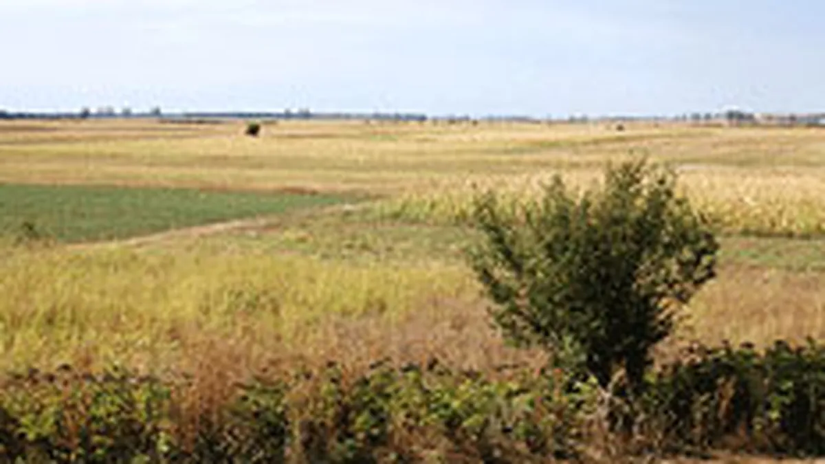 Volumetric negociaza achizitionarea a doua terenuri, in Bucuresti si Ploiesti