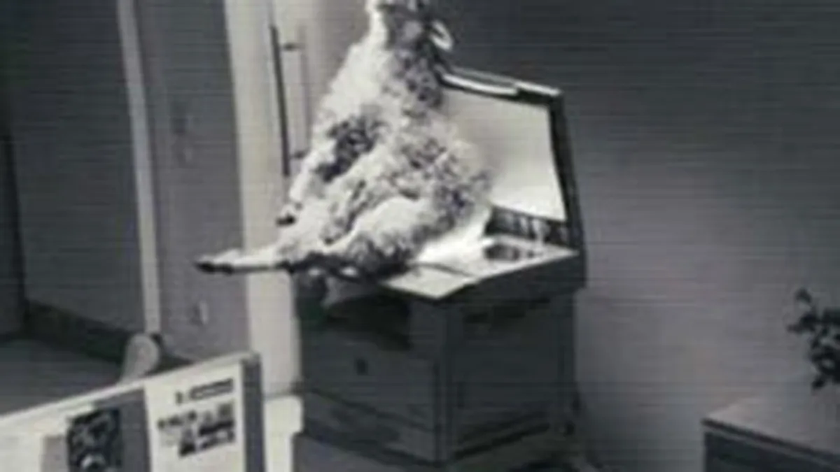 Ogilvy realizeaza si anul acesta campania de promovare a festivalului Anim\'est