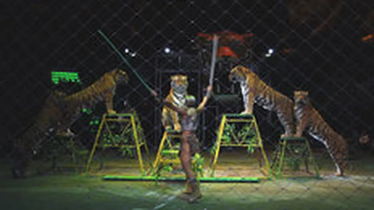 Circul Globus cumpara 3 corturi cu 136.000 euro