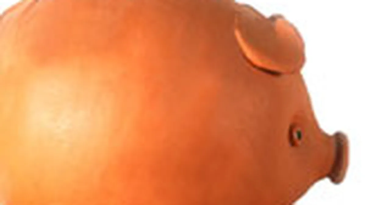 Romanii au economisit in medie 282 lei din veniturile obtinute in T3 2009