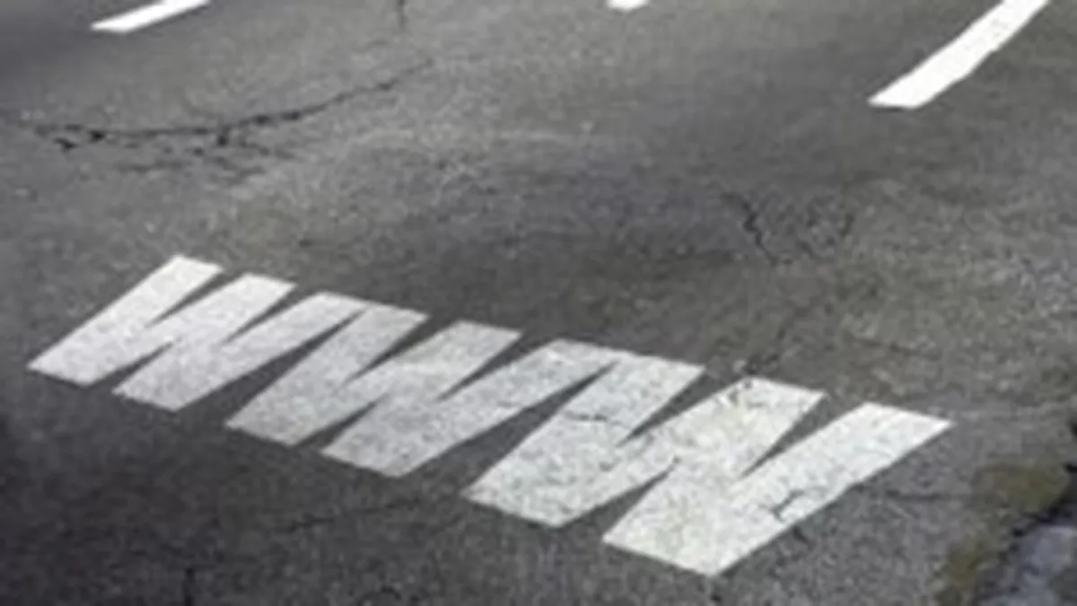 Copimaj Interactive vrea afaceri de 10 mil. lei in 2010, de 20 de ori mai mari decat in primele 6 luni