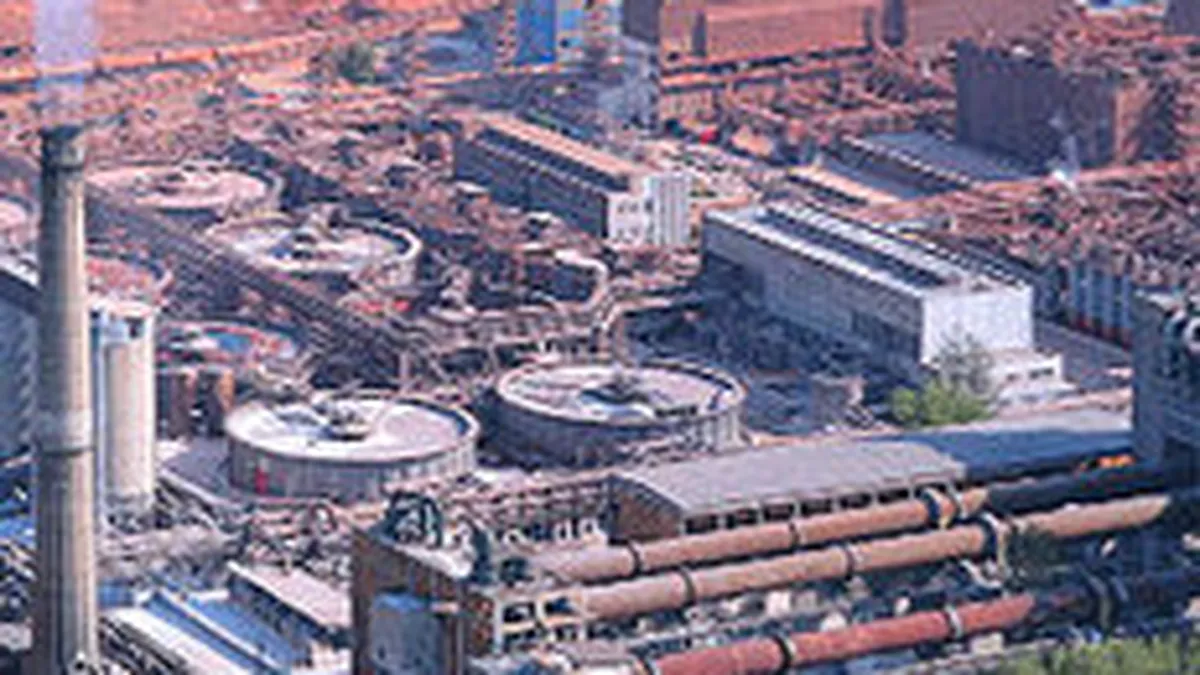 Rusii de la Vimetco redeschid Alum Tulcea