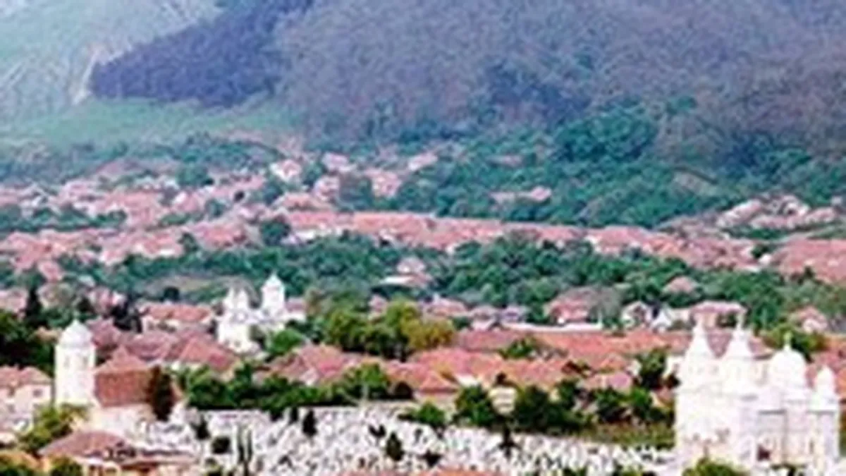 MT: Am deschis ofertele pentru brandul de tara. Inca nu am decis nimic