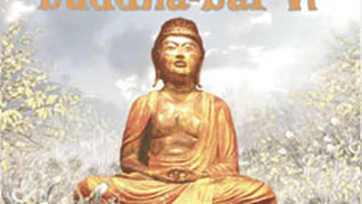 Budha Bar Music, afacere distribuita exclusiv din Romania: Piata de muzica scade cu 80% in 2009