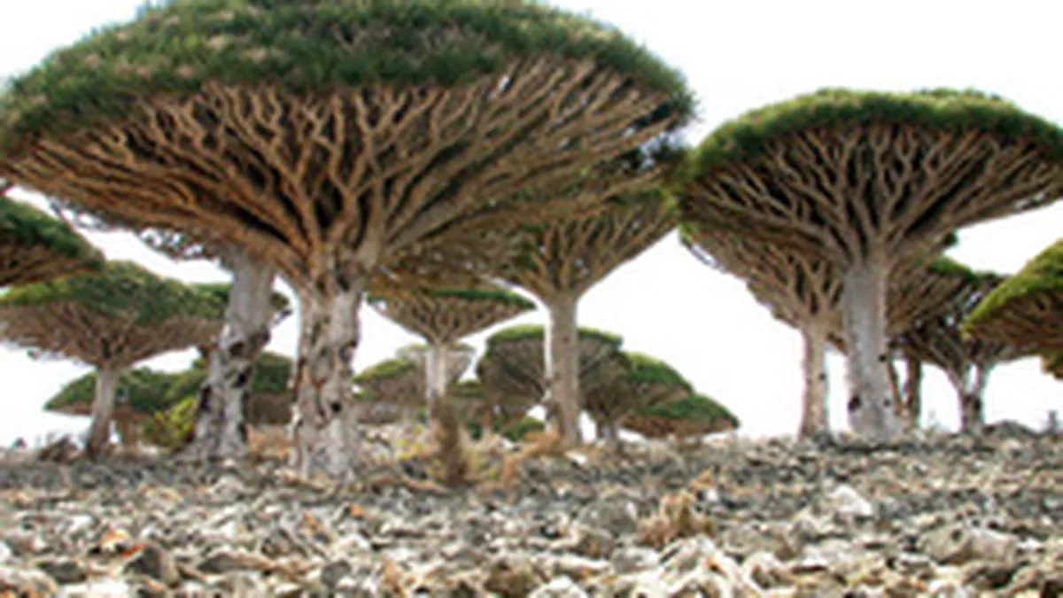 Cele mai inedite atractii turistice din lume