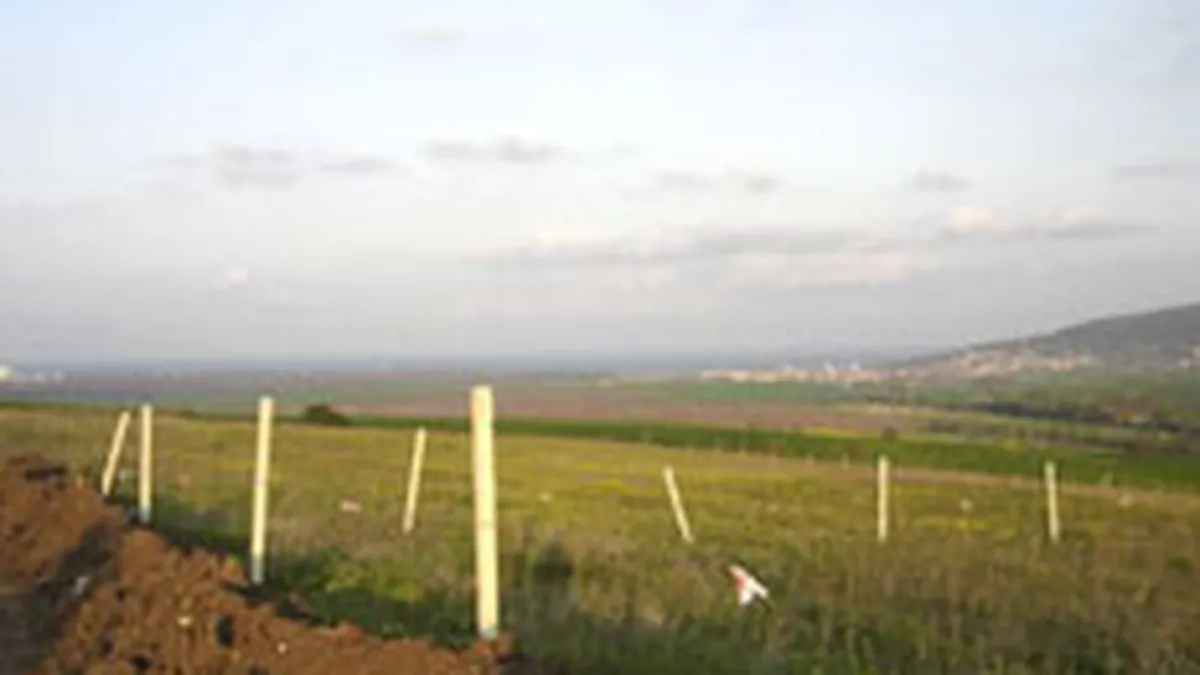 Un fond de investitii olandez negociaza pentru a cumpara 4.000 de hectare in Romania