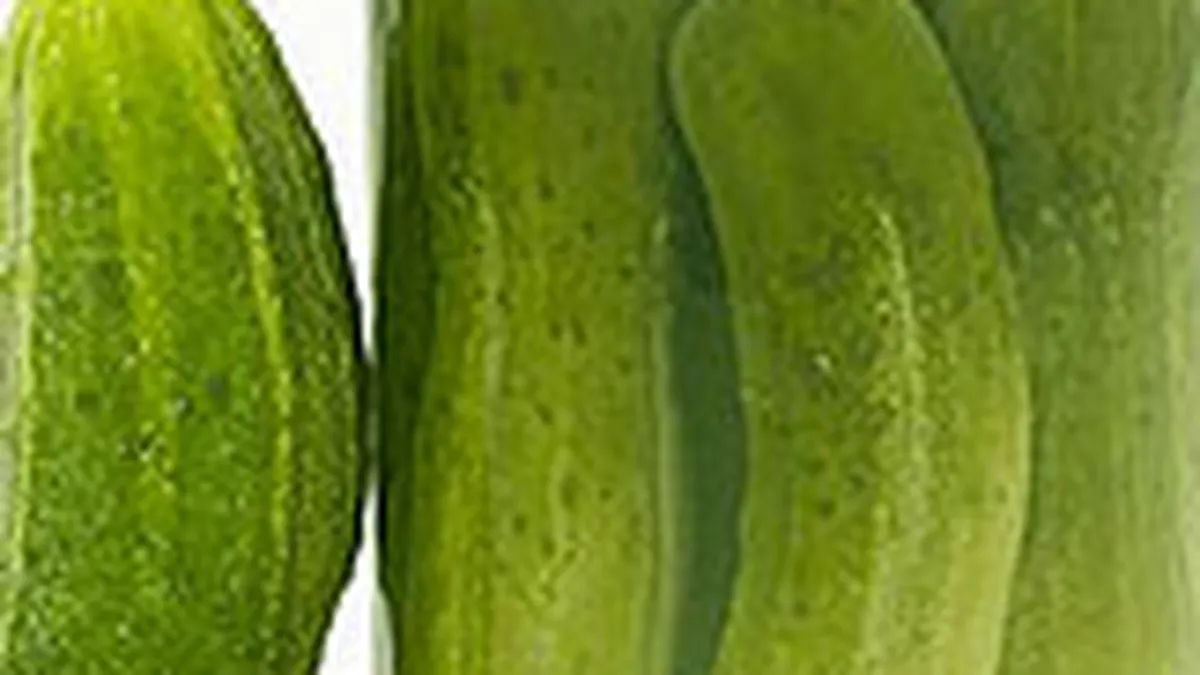 Romanii isi trateaza \raul de criza\ in borcanul de muraturi