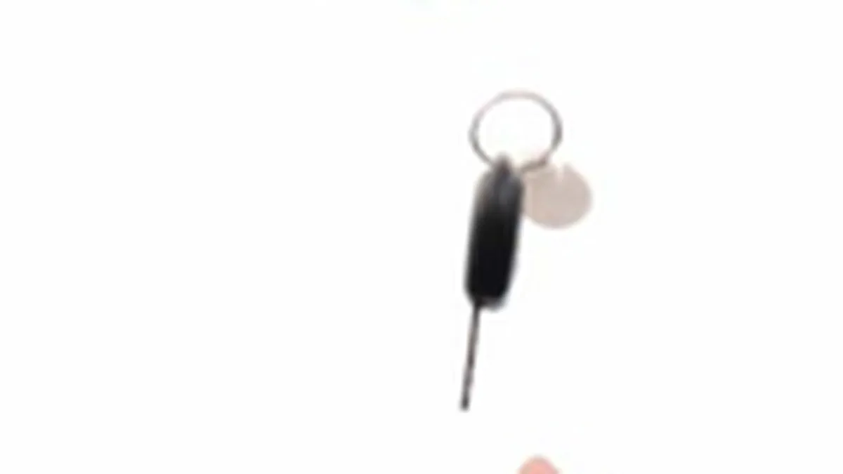 LeasePlan: Piata de leasing operational va creste cu peste 20% in 2009