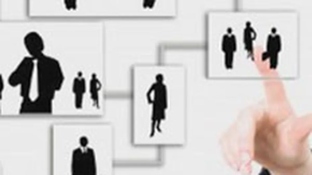 Cine mai face angajari in 2010