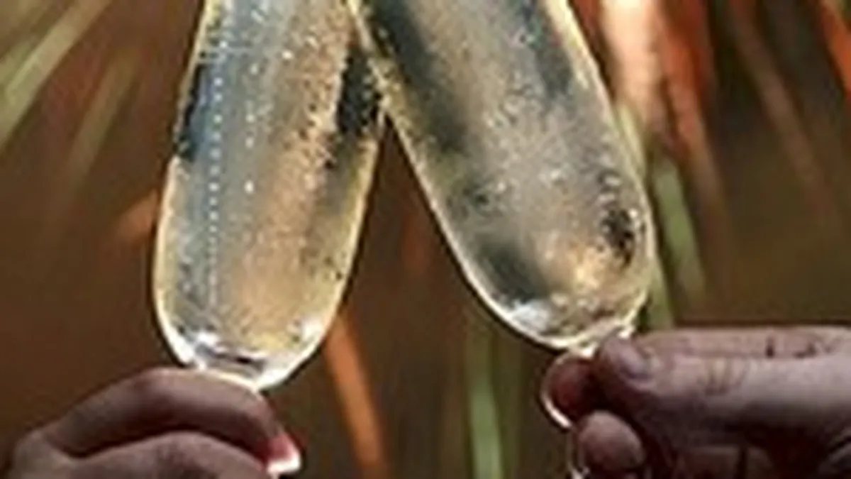 Revelion 2010 - Buget low-cost sau cheltuiala fara masura?