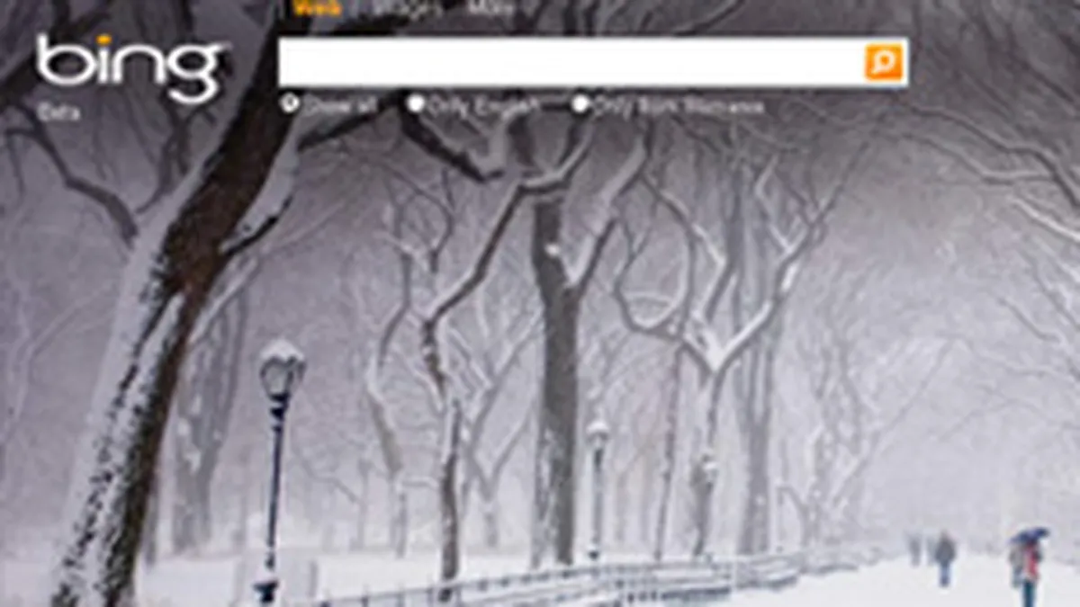 Microsoft, data in judecata pentru incalcarea drepturilor asupra marcii comerciale \Bing\