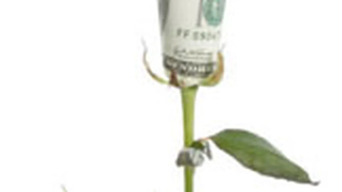 Primele impresii despre schimbarea forfetarului si a impozitarii IMM-urilor: Ar putea scadea evaziunea, fara o explozie a falimentelor