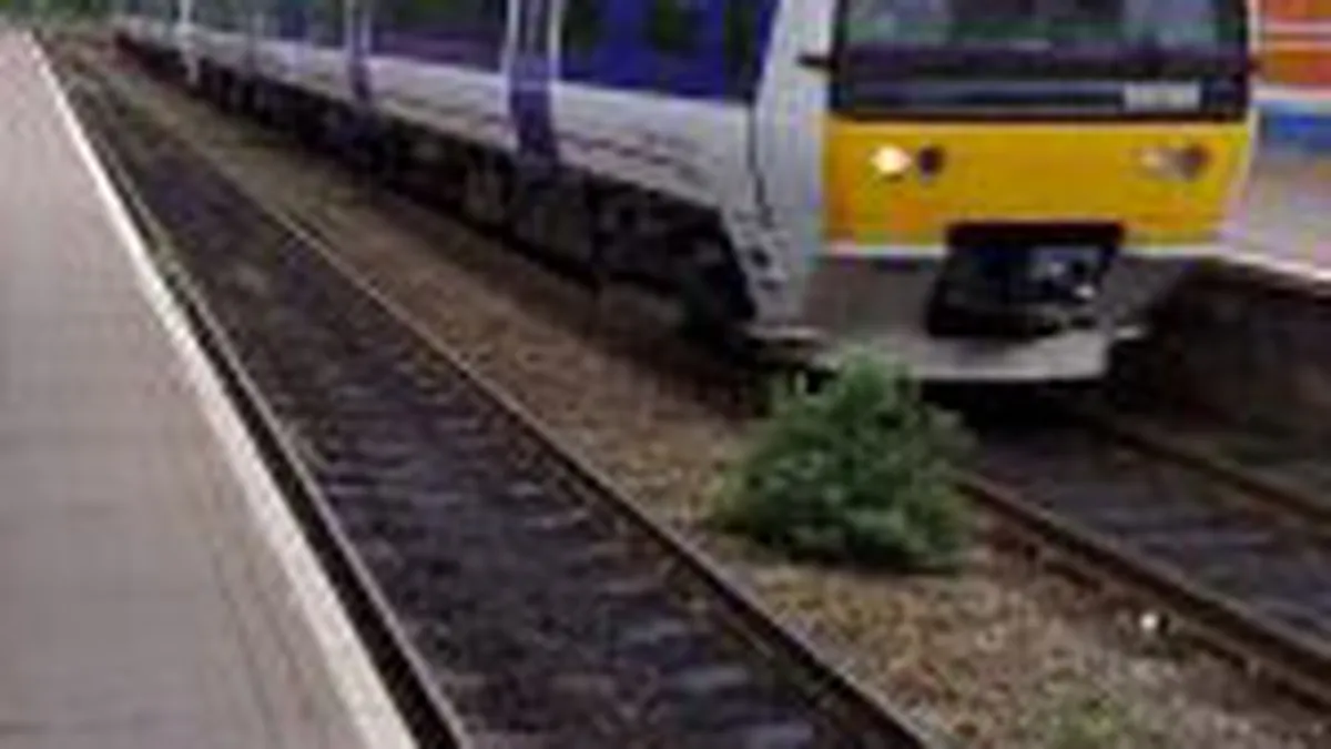 Berceanu: Subventiile pentru transportul feroviar ar trebui sa creasca cu 30-40%