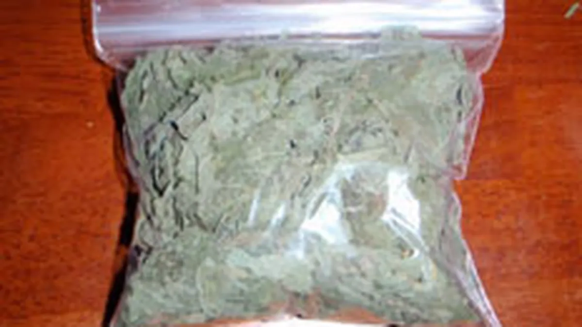 Guvernul a interzis comercializarea a 36 substante si plante etnobotanice, cunoscute ca droguri legale