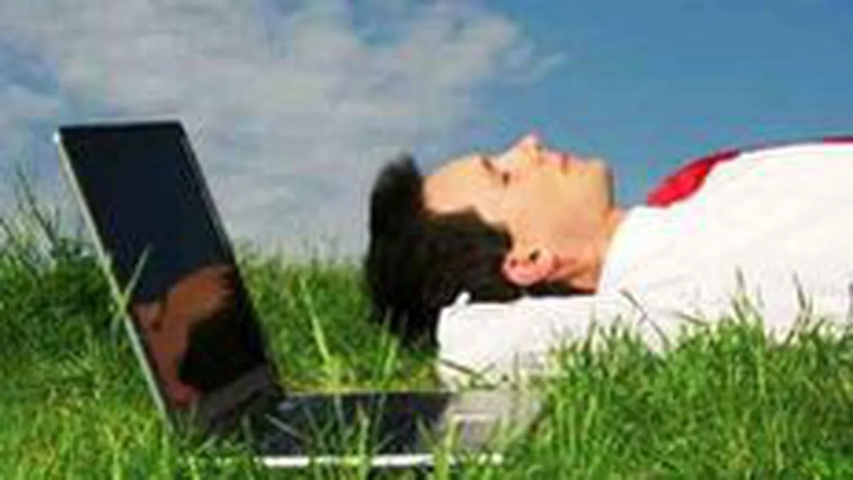 Principalele regii de publicitate online: Piata va evolua cu 10-30% in 2010, dar noi vom creste mai mult!