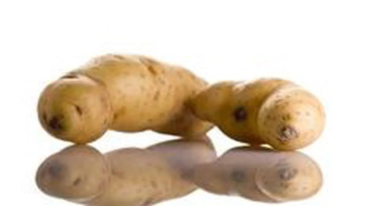 Ministerul Agriculturii este prudent in autorizarea OMG-urilor