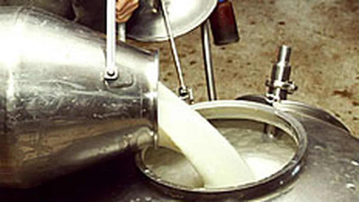 Cantitatea colectata de lapte de vaca a scazut cu 5,3% in ianuarie