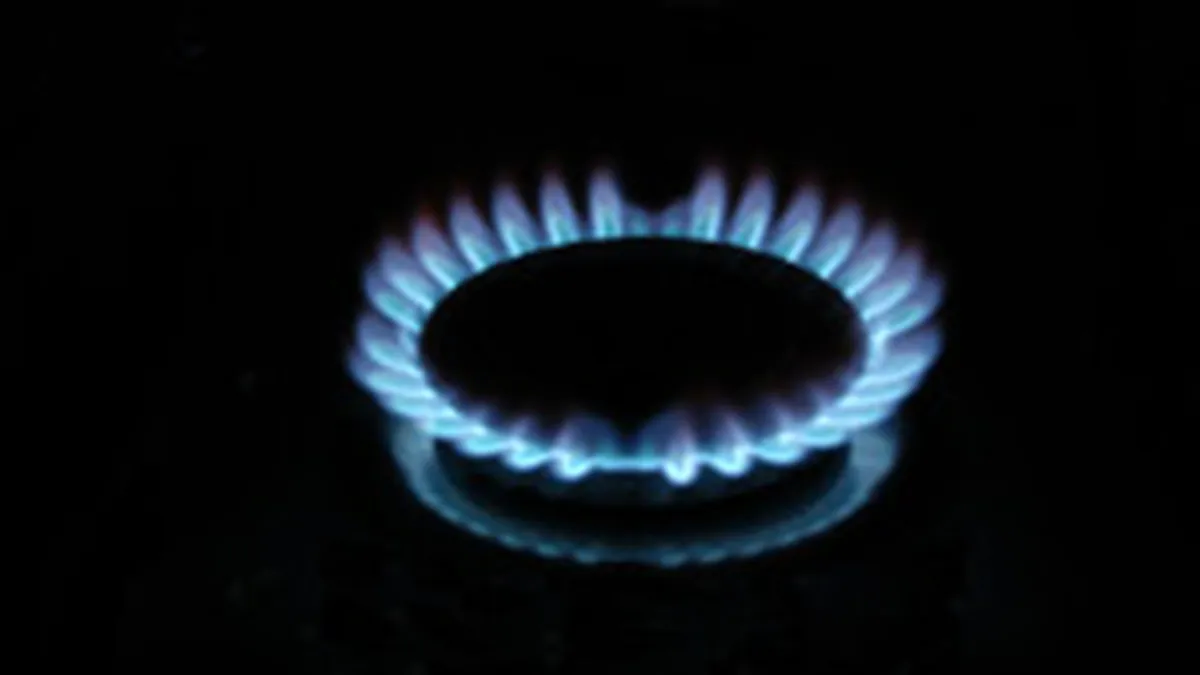 Boc: Politica ANRE este sa nu creasca pretul la gaze in 2010