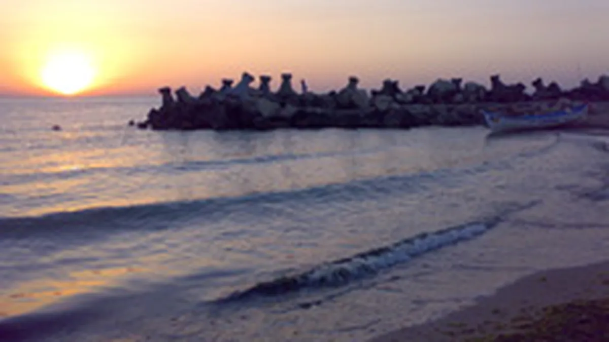 Udrea: Plajele private pe care se afla constructii vor fi preluate de stat