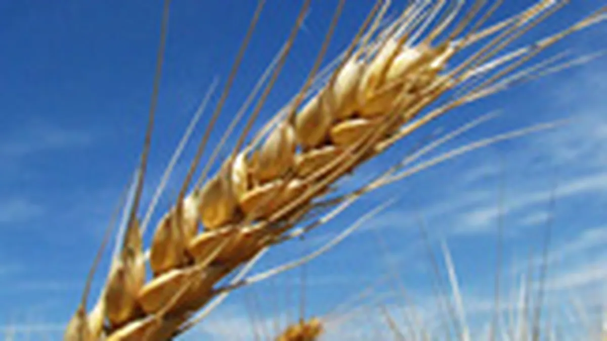 Douazeci de state UE trebuie sa restituie fonduri de 346,5 mil.euro primite pentru agricultura