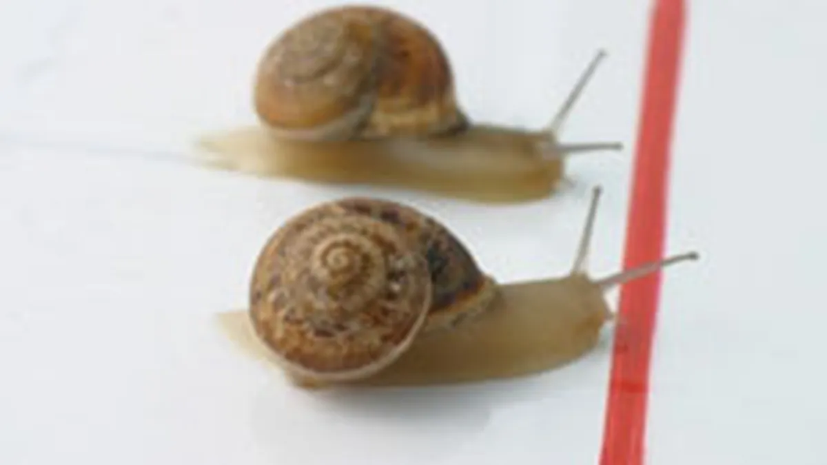 Bursa a stagnat vineri, SIF-urile au pierdut 1%