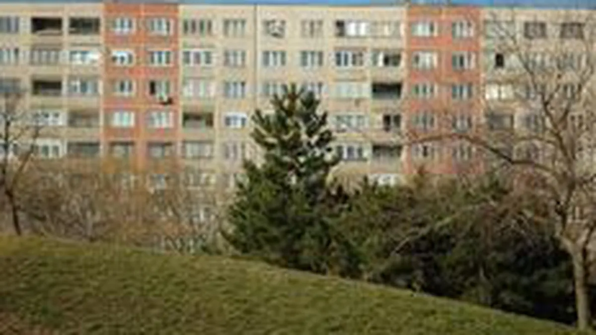 BEI ar putea acorda 125 mil. euro pentru reabilitarea termica a 25.000 de apartamente din sectorul 1