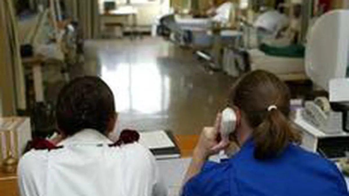 Jumatate dintre bugetari sunt in administratia centrala, cei mai putini in spitale si universitati