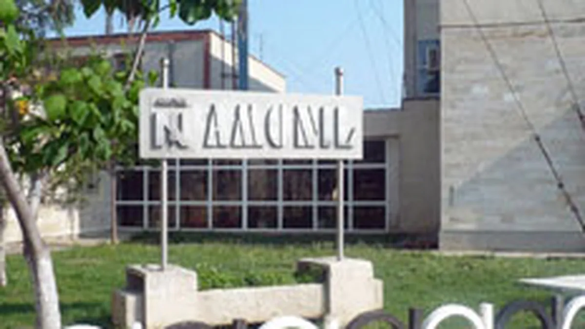 Amonil a inregistrat o scadere a afacerilor de 20% in T1 2010