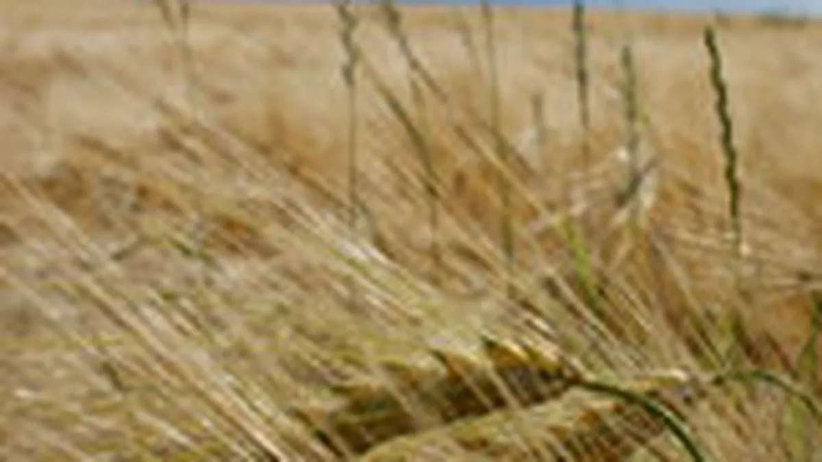 Peste un milion de fermieri au cerut subventii pe suprafata pentru 9 milioane hectare