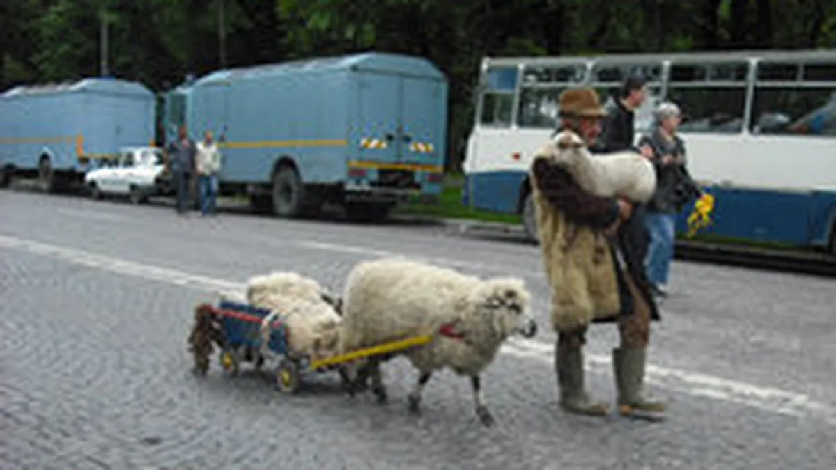 Cel mai mare miting din ultimii 10 ani. Vezi intregul eveniment in imagini (GALERIE FOTO)