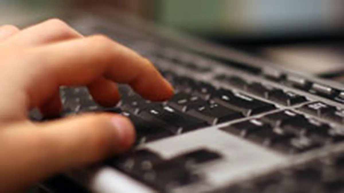 Studiu: Peste 60% dintre companiile autohtone de distributie si productie nu au un departament IT