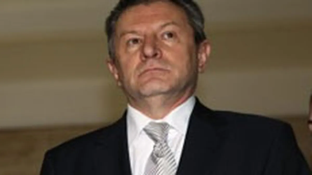 Berceanu: Un efect al caderii Guvernului ar putea fi cresterea inflatiei