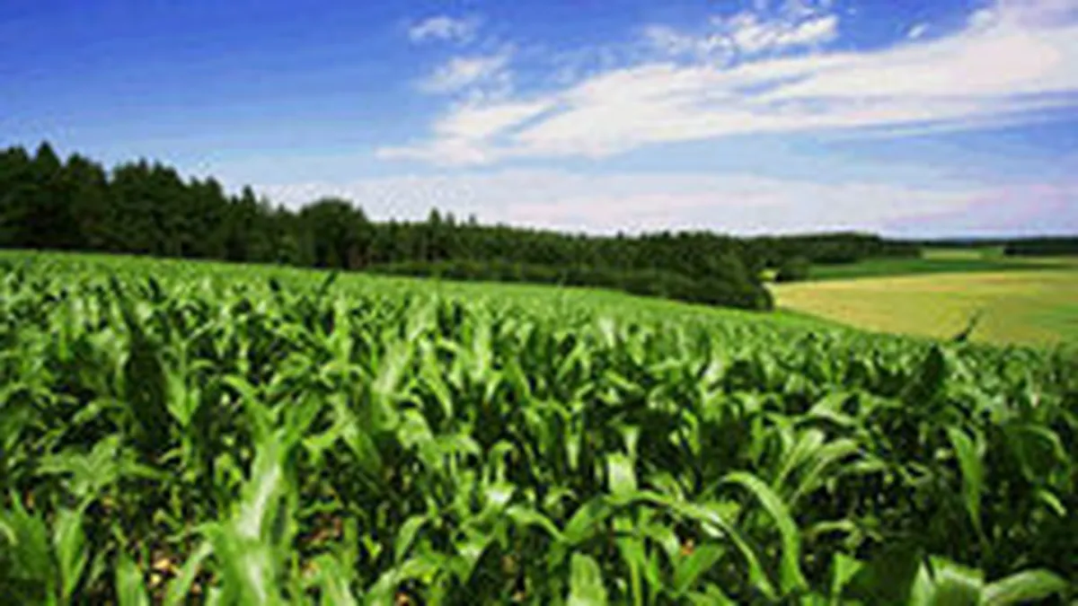 Peste 90% din bugetul Agriculturii a fost cheltuit. Au mai ramas bani doar pentru motorina