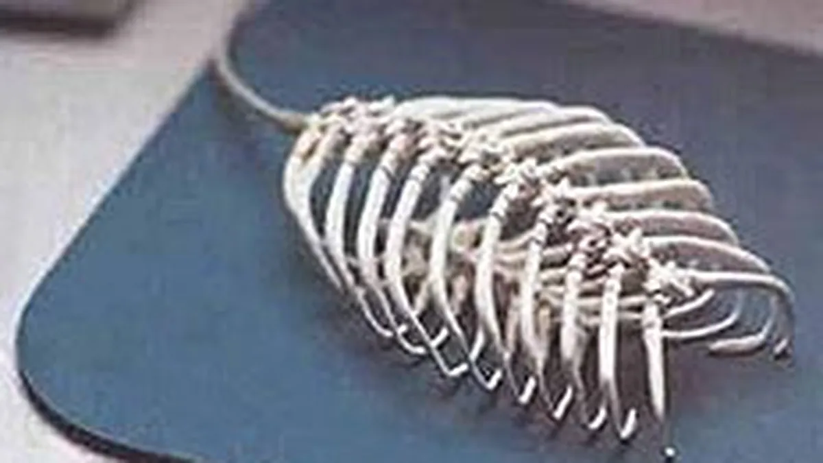 Americanii au inventat mouse-ul invizibil. Pretul prototipului: 20 $