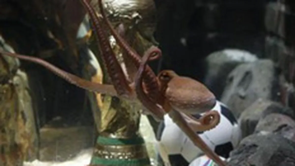 Caracatita Paul, \oracolul\ care a prezis noua campioana mondiala la fotbal,  rasplatita cu o replica a Cupei