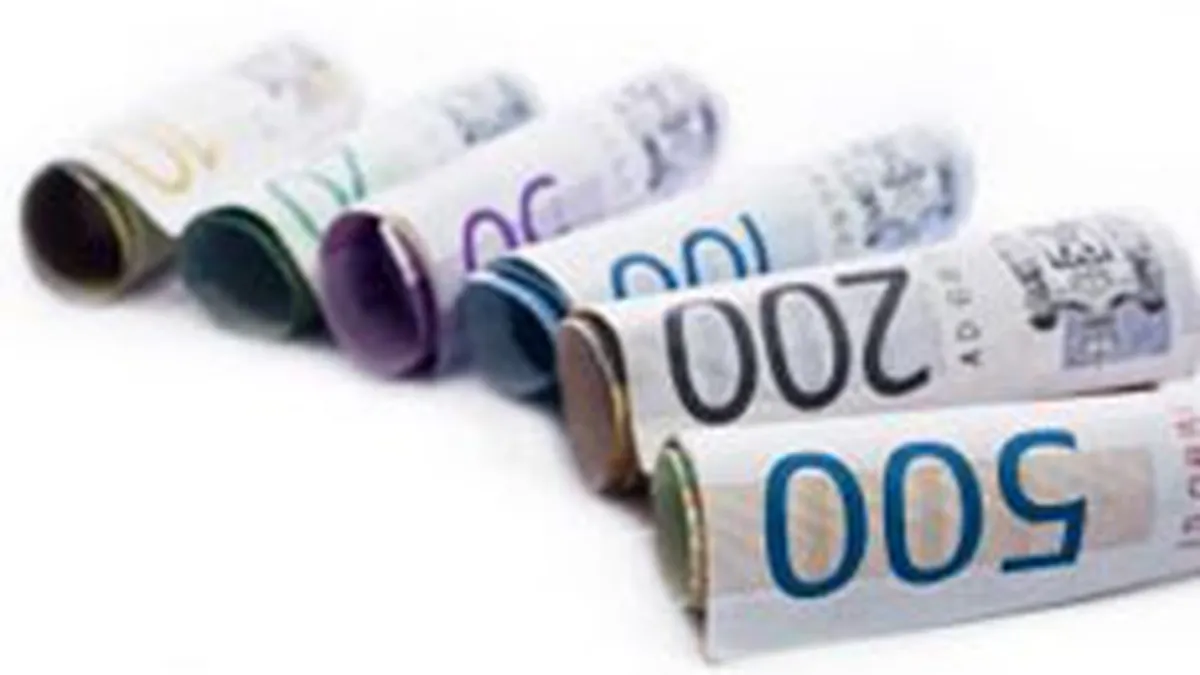 Investitorii profesionisti isi tin trei sferturi din bani in plasamente \rapide\