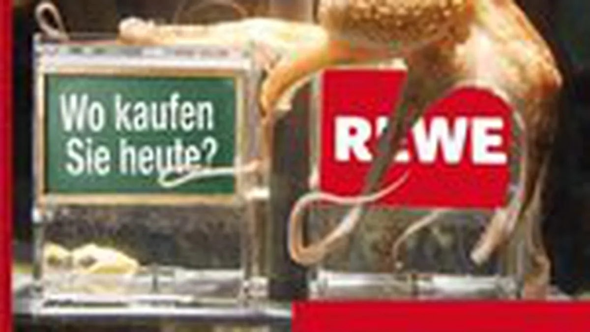 Caracatita Paul a intrat in industria publicitara cu o reclama pentru Rewe