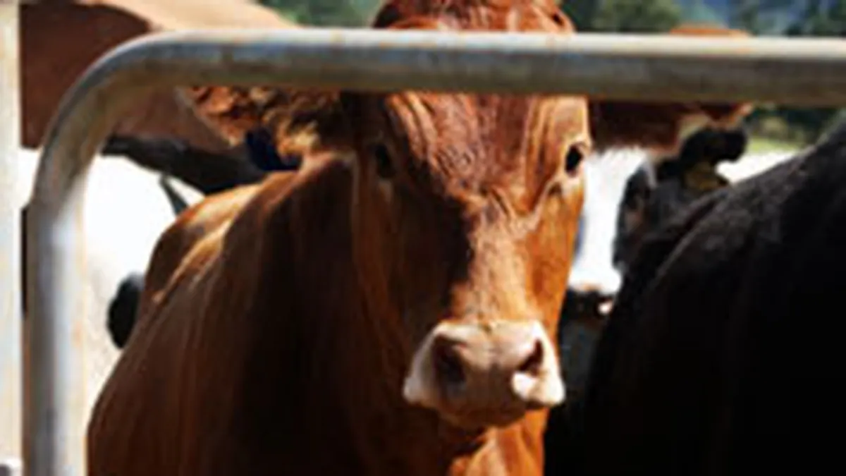 Sumele destinate platii subventiilor in agricultura au fost suplimentate cu 165 mil.lei