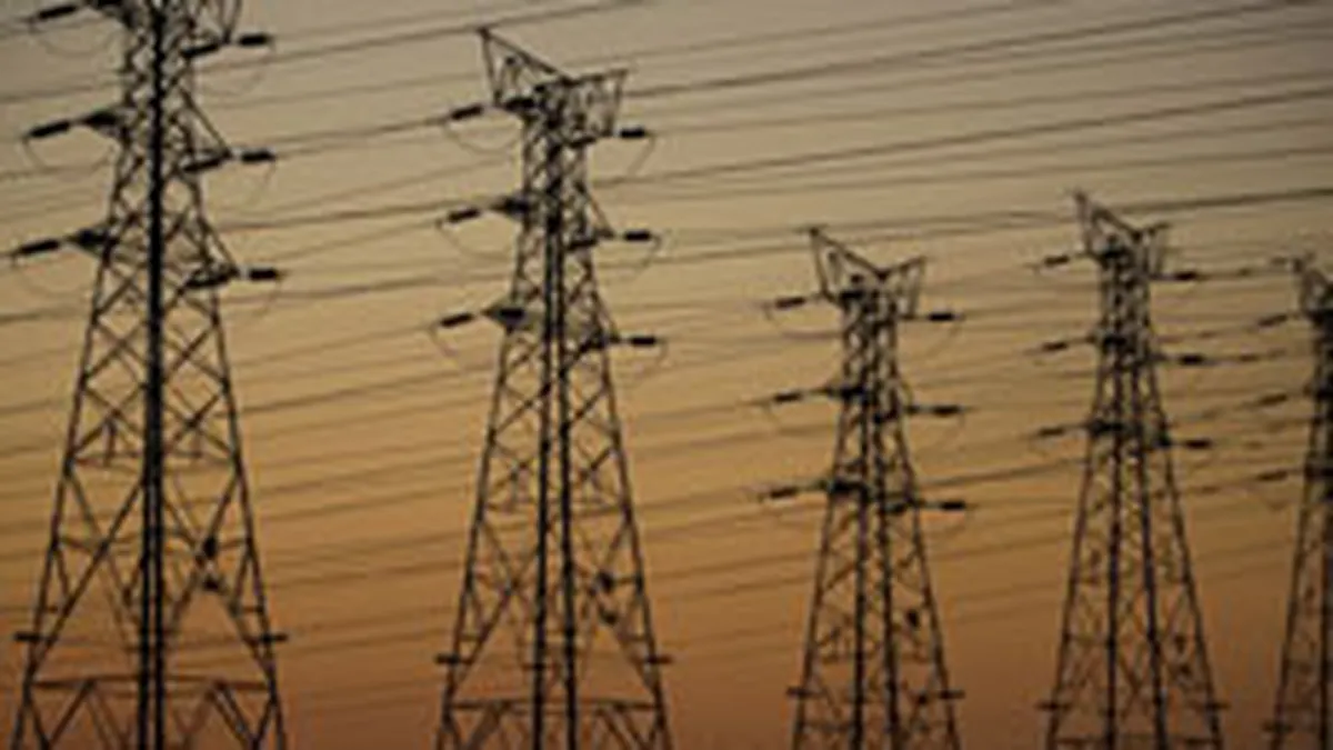 Videanu se declara adeptul mentinerii monopolului de stat in transportul energiei electrice