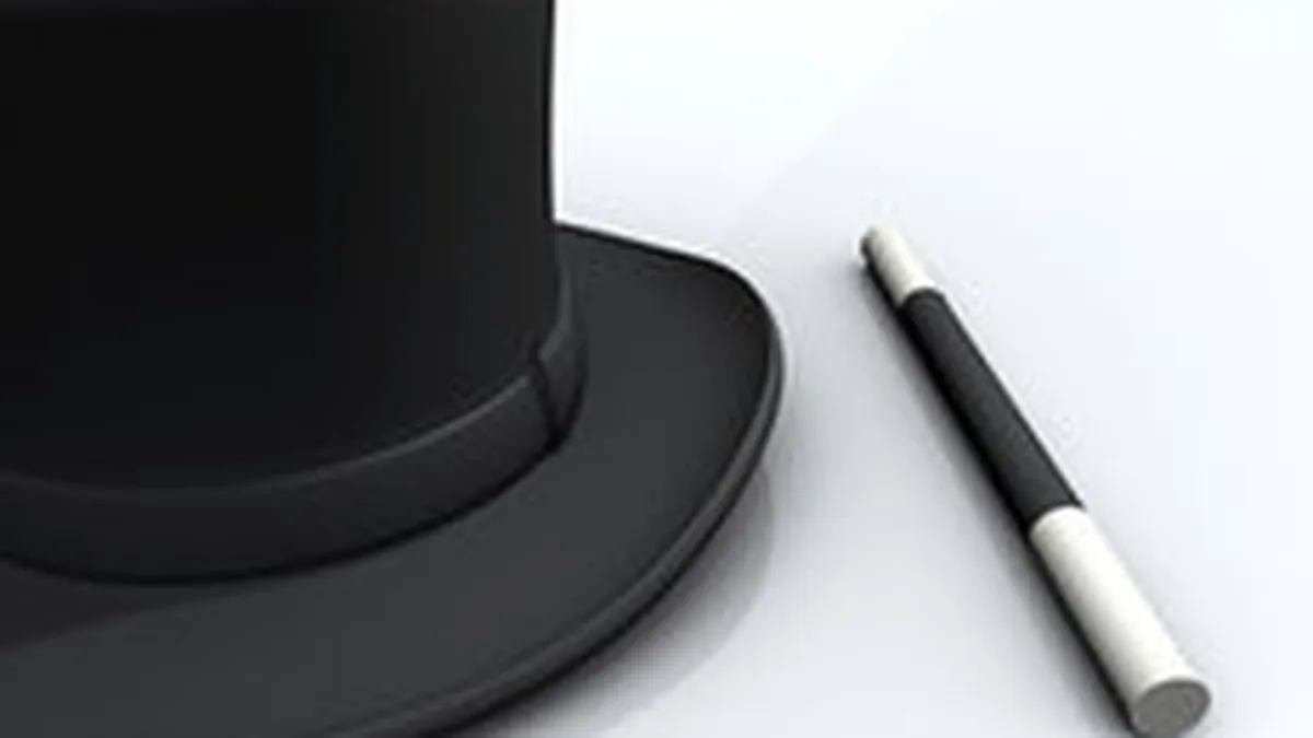 Magia si ghicitul nu sunt profesii liberale. Asa au decis senatorii juristi