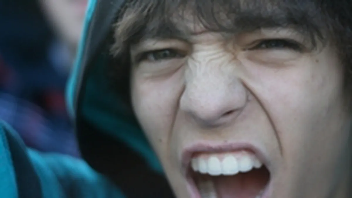 Numarul bancilor cu clienti nemultumiti organizati pe Internet a ajuns la 12